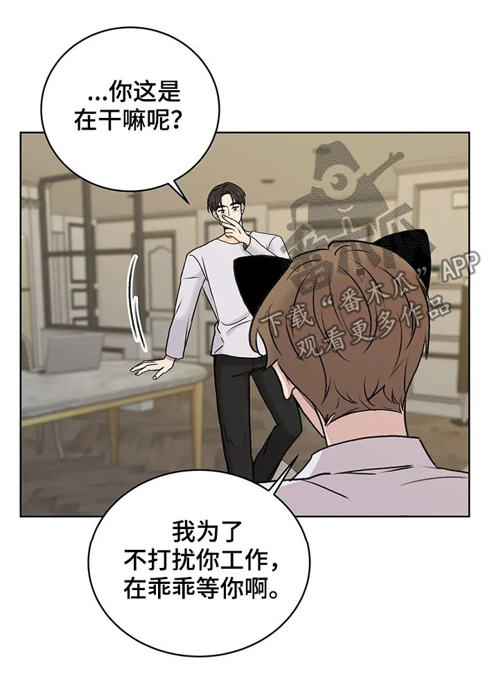 爱直播漫画漫画,第26章：猫猫玩耍时间2图
