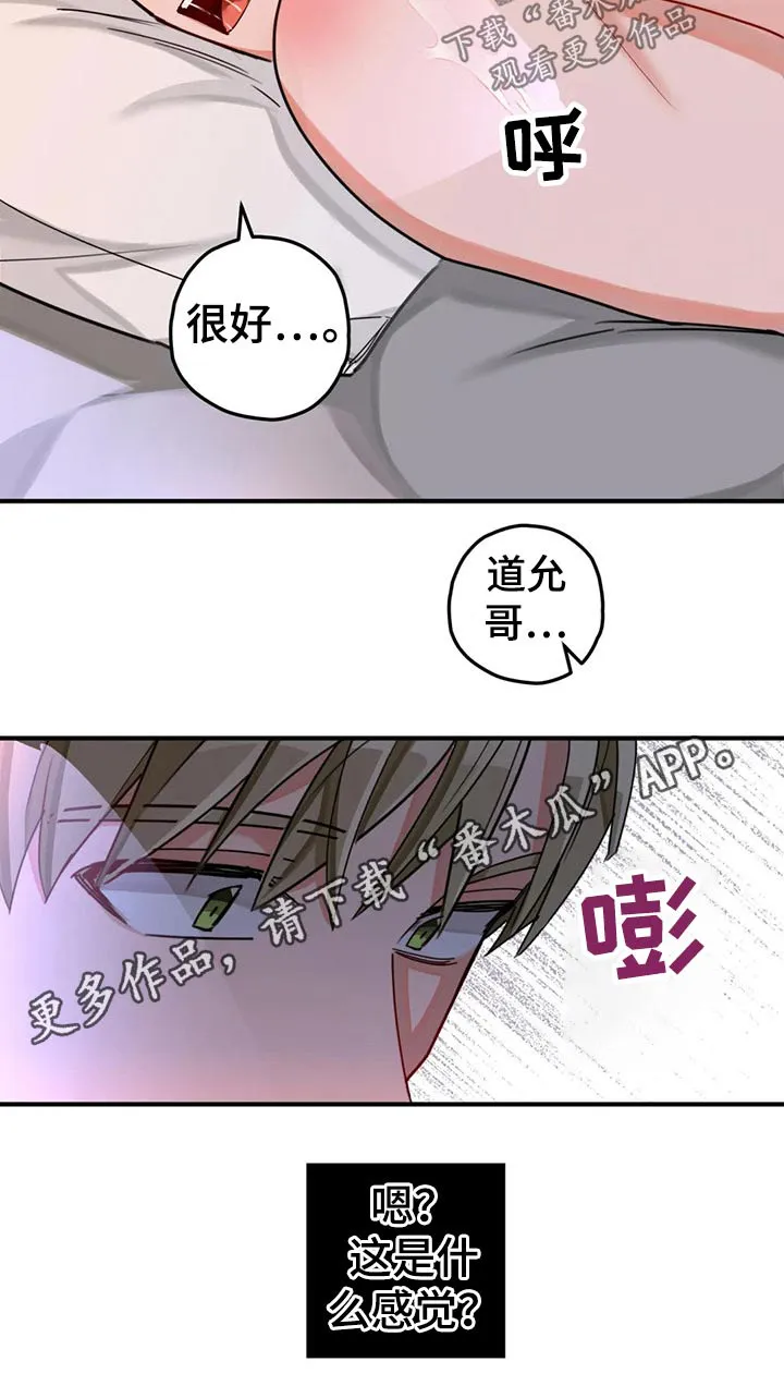 甜蜜伴侣的漫画漫画,第51章：感觉12图