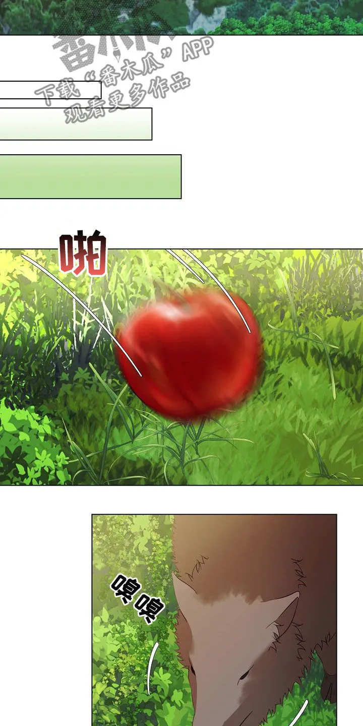 完美契合漫画漫画,第49章：野猪5图