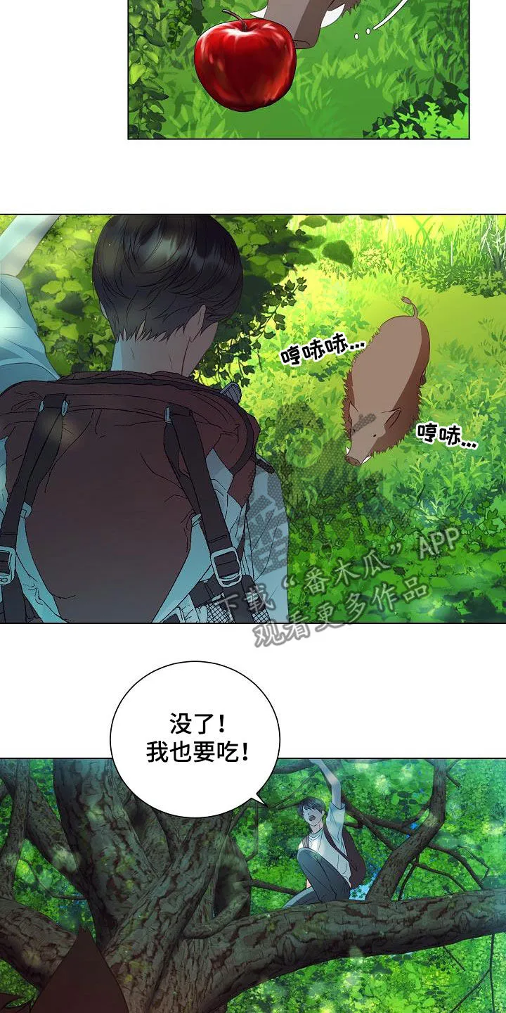 完美契合漫画漫画,第49章：野猪6图