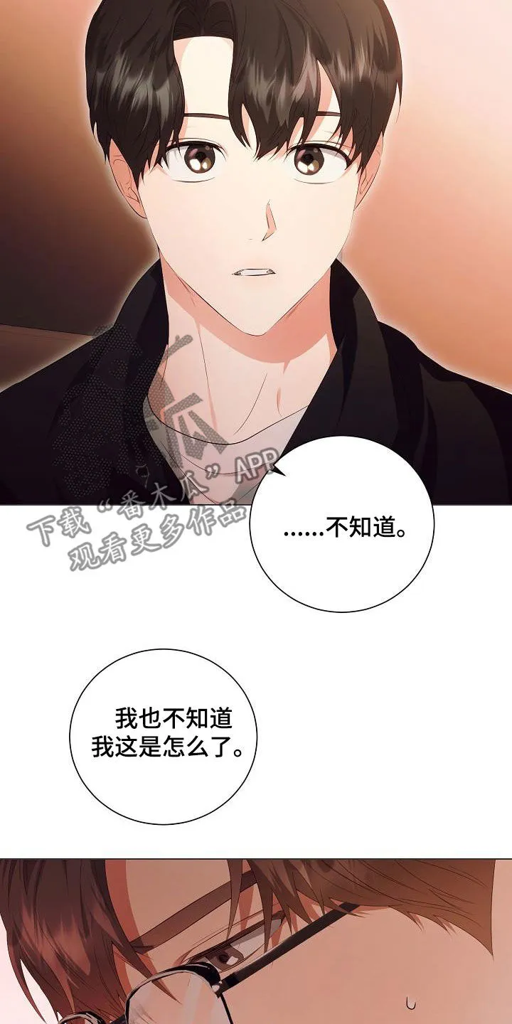 完美契合漫画漫画,第65章：似曾相识13图