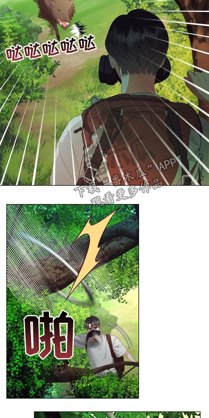 完美契合漫画漫画,第50章：逃脱12图