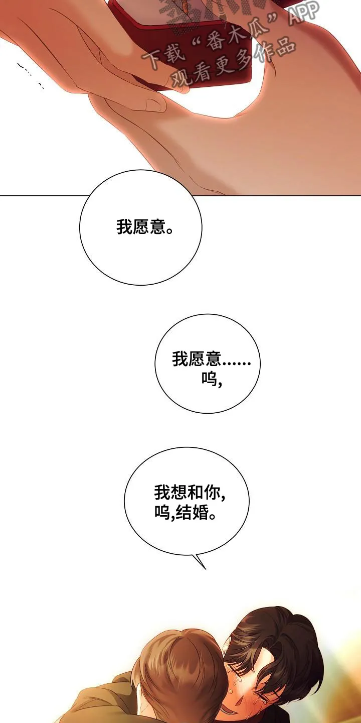 完美契合漫画漫画,第80章：求婚25图