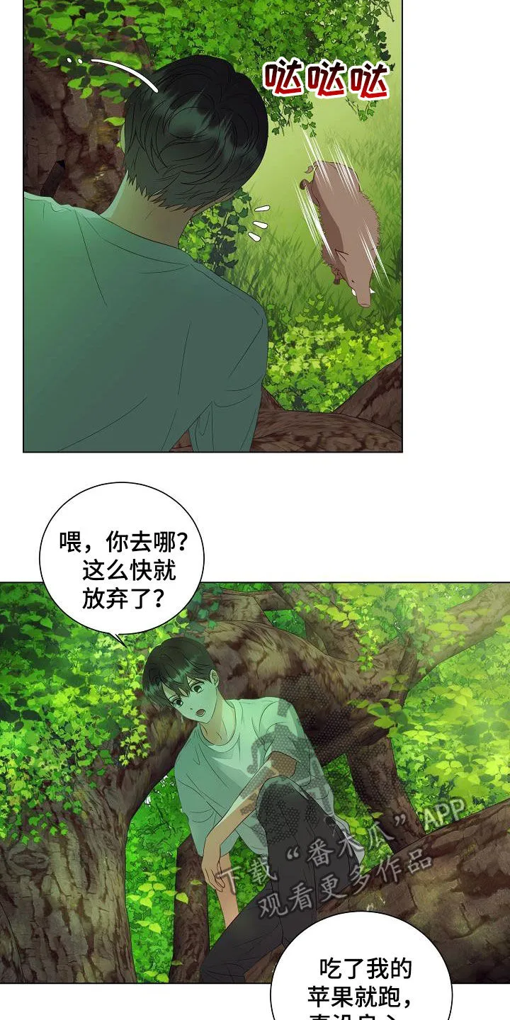 完美契合漫画漫画,第49章：野猪12图