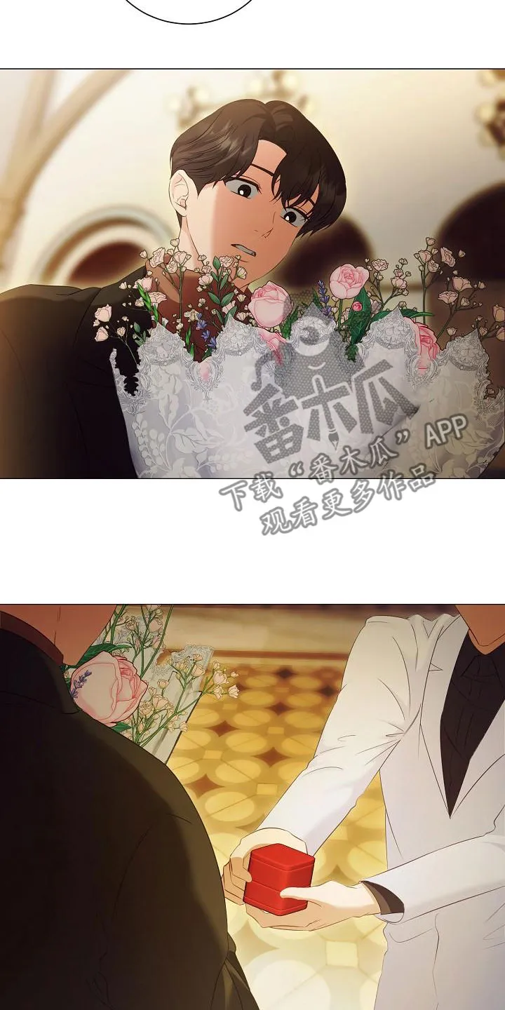 完美契合漫画漫画,第80章：求婚21图