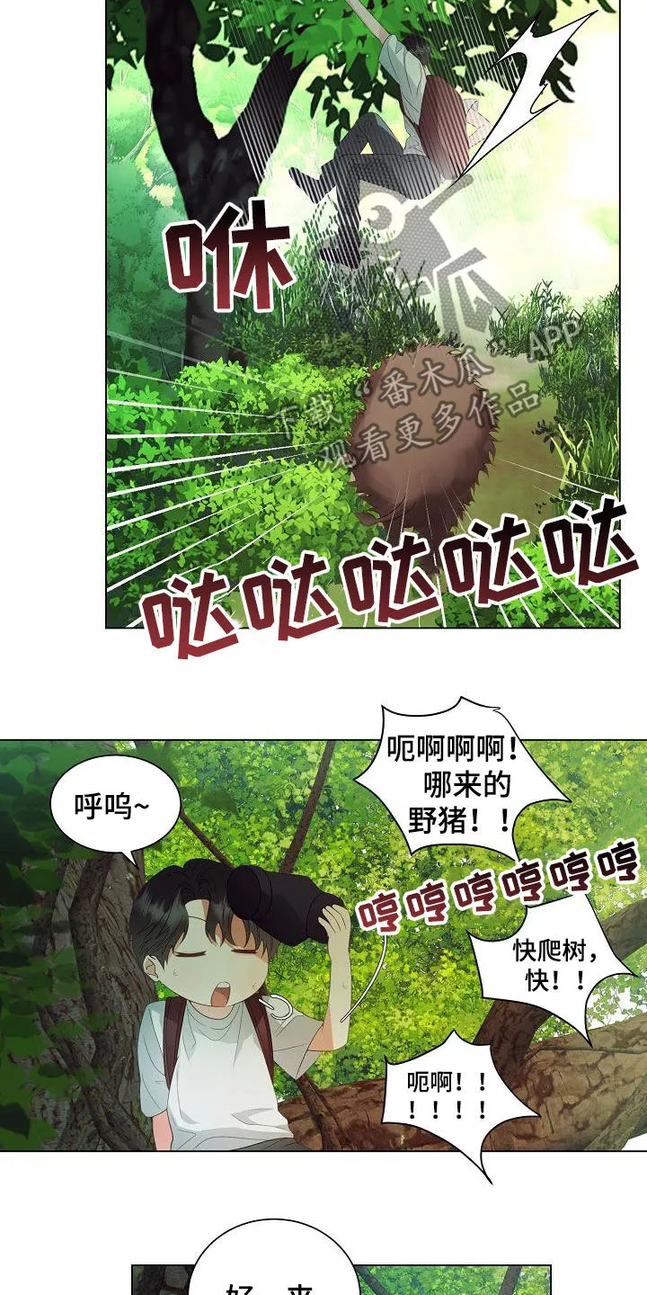 完美契合漫画漫画,第50章：逃脱13图
