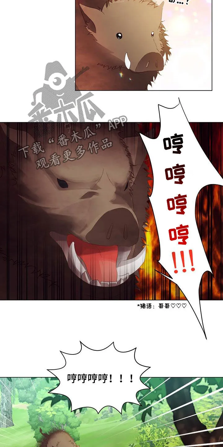 完美契合漫画漫画,第50章：逃脱11图