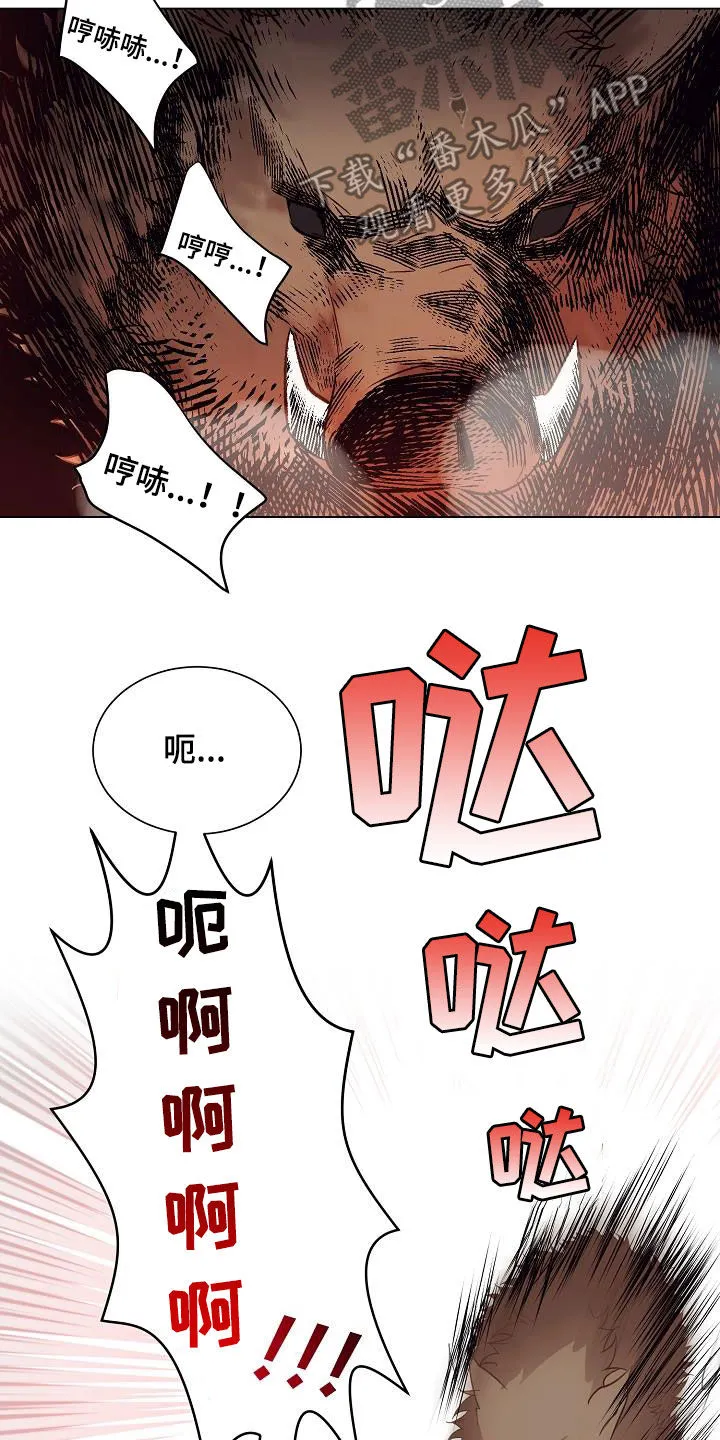 完美契合漫画漫画,第49章：野猪3图