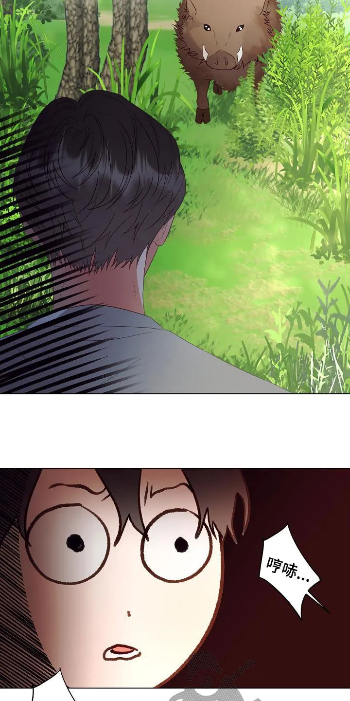 完美契合漫画漫画,第49章：野猪2图