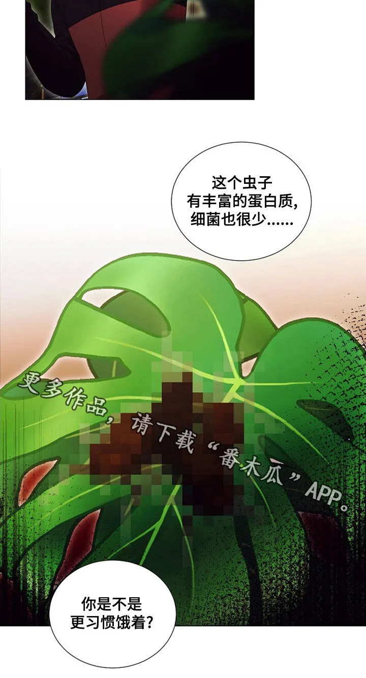 完美契合漫画漫画,第85章：虫子19图