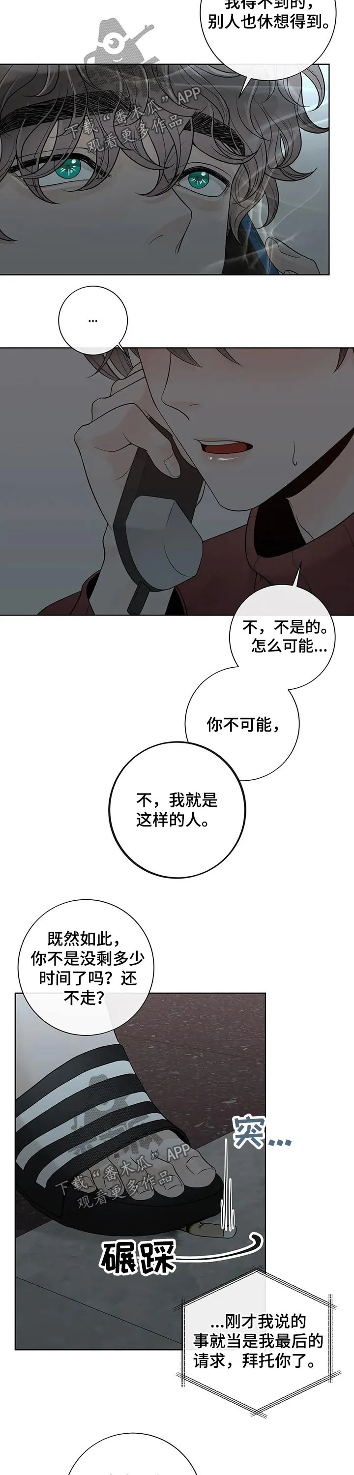 伙伴漫画内容漫画,第114章：【第二季】有你的地方2图