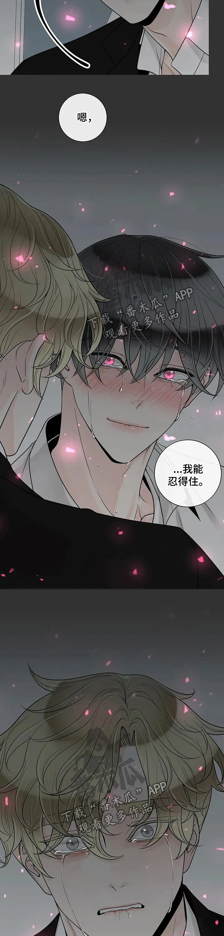 契约拍档漫画漫画,第106章：【第二季】坚强14图