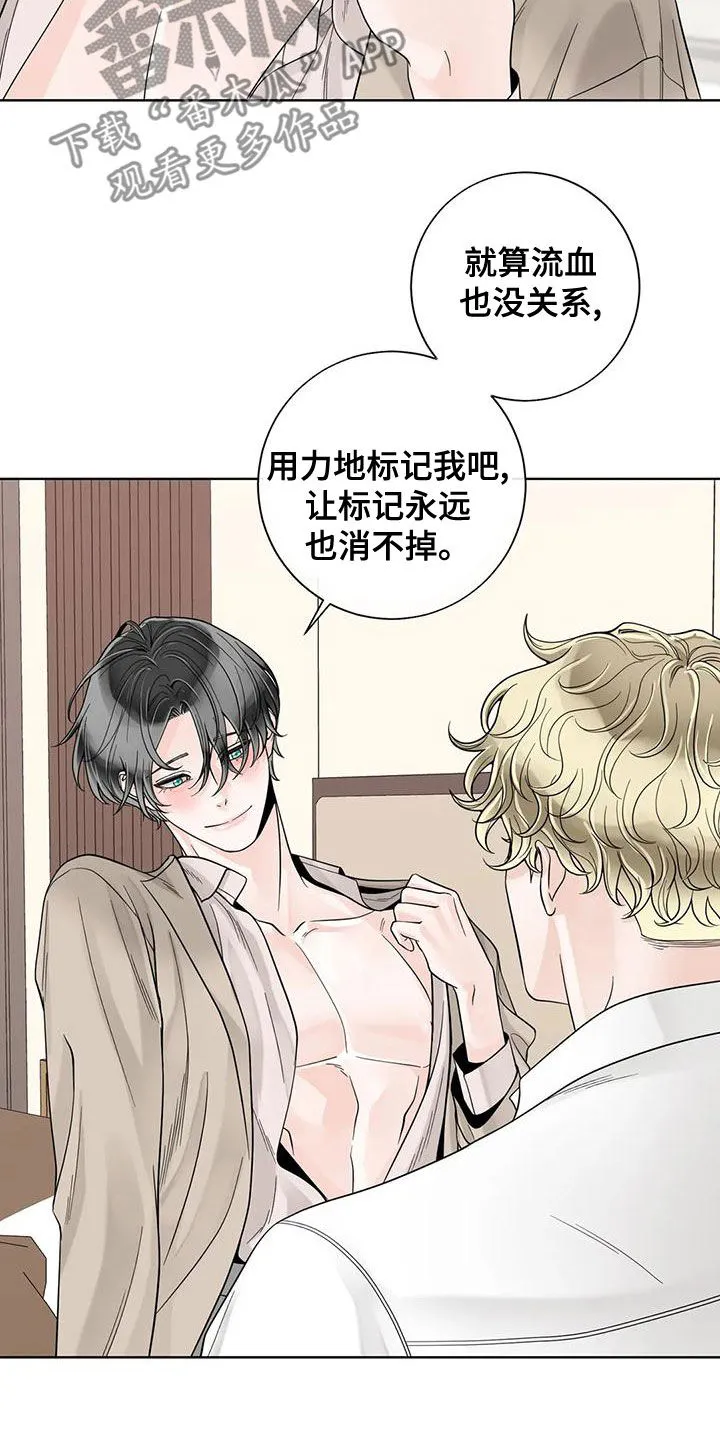 伙伴关系漫画漫画,第140章：【番外】和我结婚吧25图