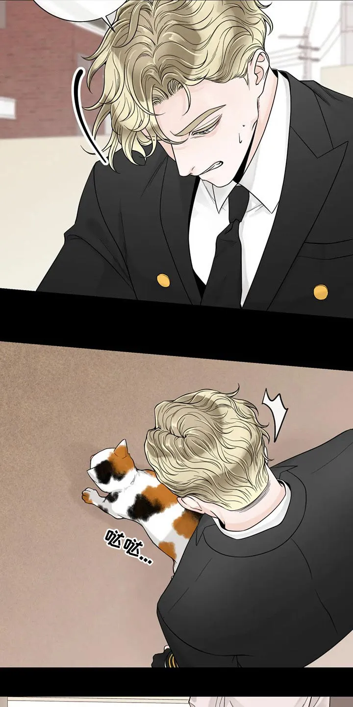 合约倒计时漫画漫画,第125章：【第二季】往事15图