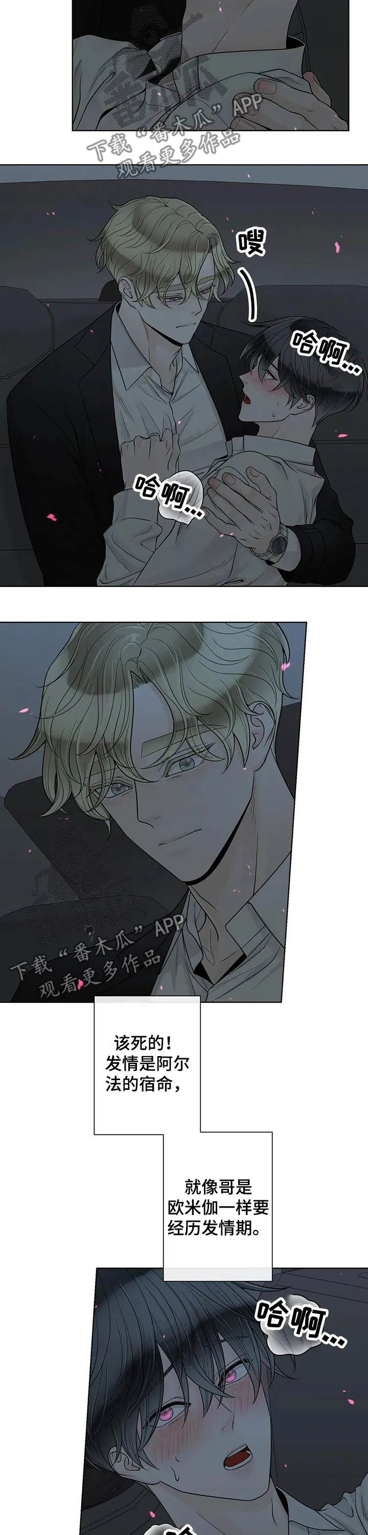 契约拍档漫画漫画,第106章：【第二季】坚强2图