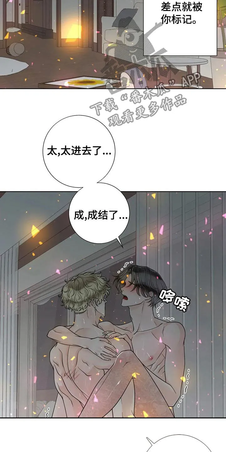 合约期是指什么漫画,第144章：【番外】谢谢你10图