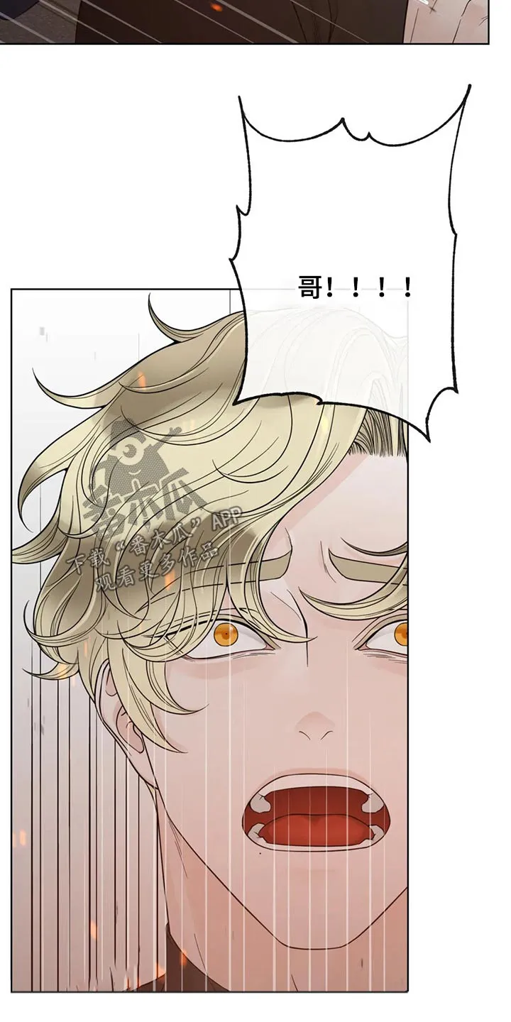 伙伴关系漫画漫画,第124章：【第二季】哭泣9图