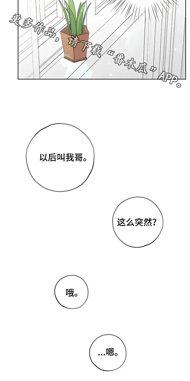 伙伴漫画内容漫画,第165章：【番外】会幸福的25图