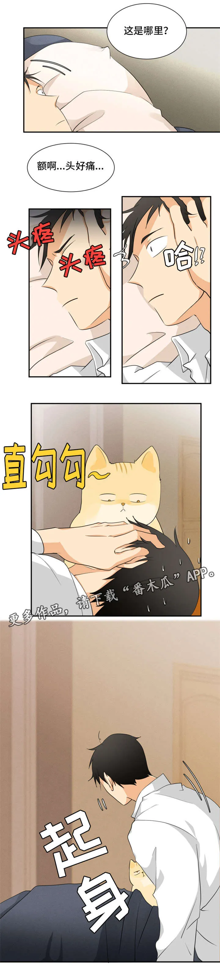 我暗恋的大佬也重生了全文免费阅读无删减无重复晋江漫画,第11章：谢谢你1图