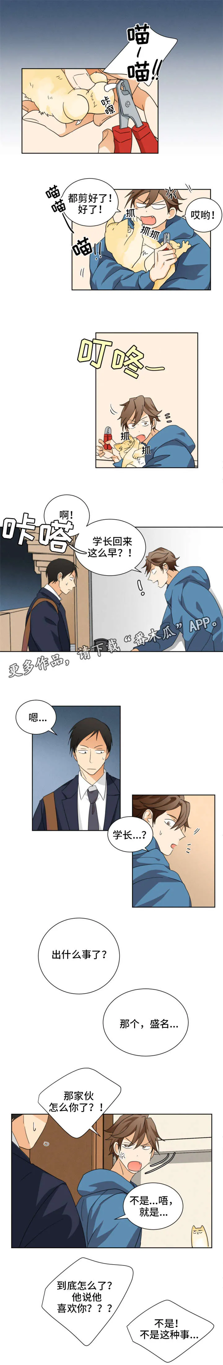 我暗恋的前辈漫画漫画,第30章：不该看的4图