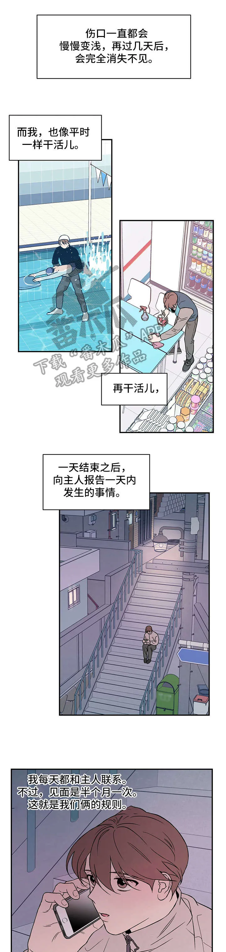恋情议论 漫画漫画,第13章：告知1图