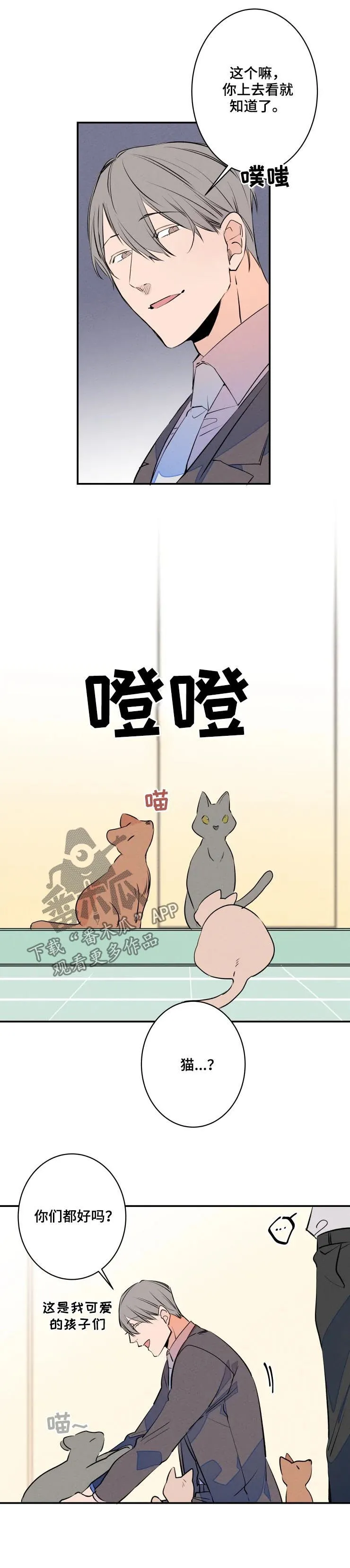 结婚契约韩国漫画免费漫画,第61章：有妇之夫6图