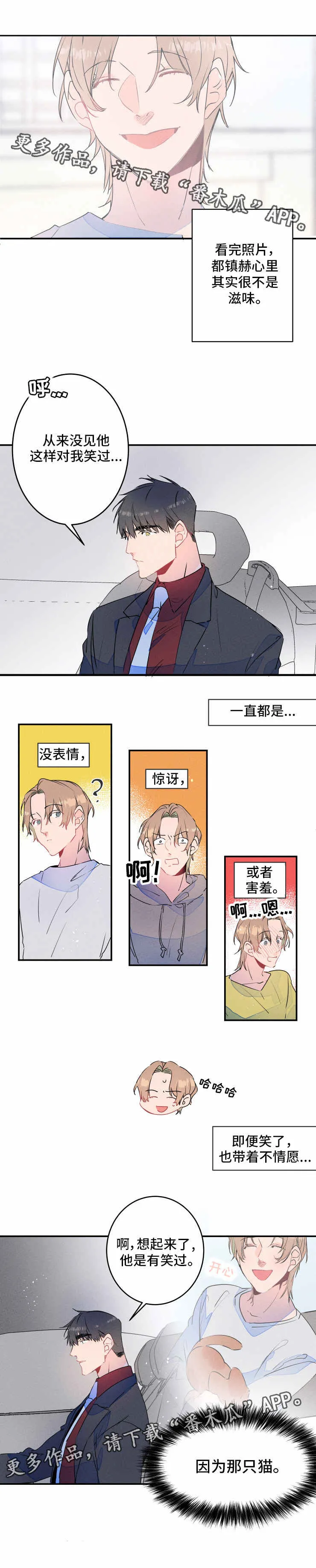 结婚漫画模板漫画,第19章：喝酒3图