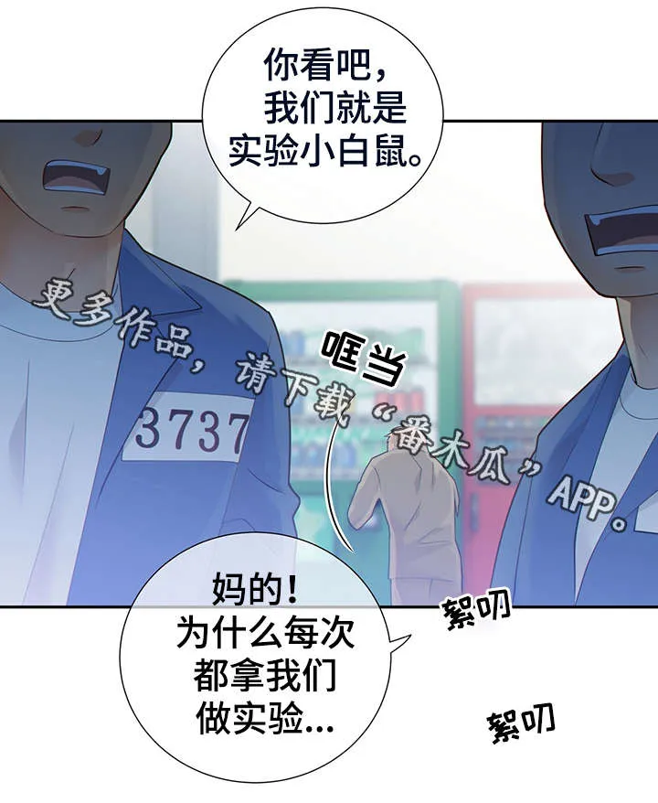 阿尔法监狱漫画漫画,第45章：犯了什么罪15图