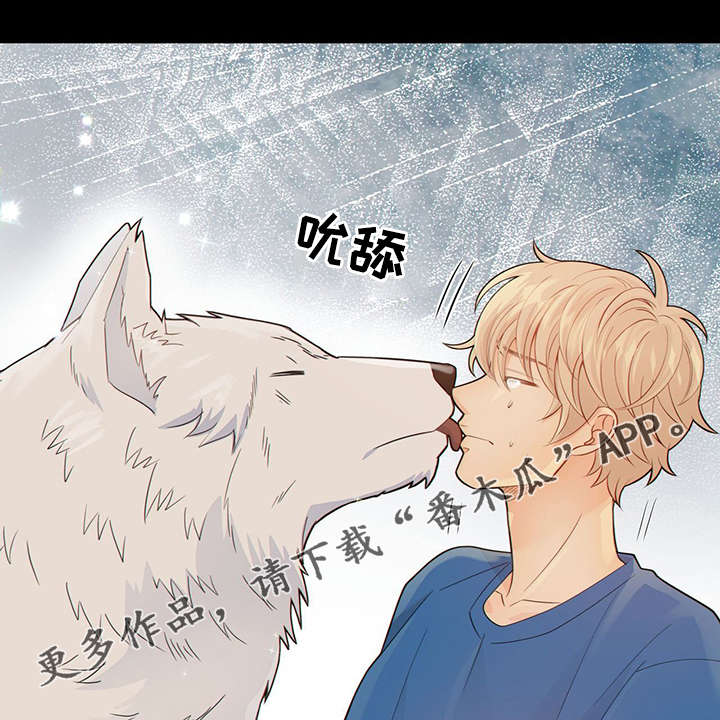 阿尔法监狱漫画漫画,第42章：梦话34图