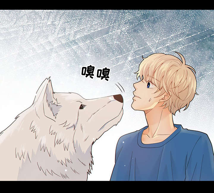 阿尔法监狱漫画漫画,第42章：梦话33图