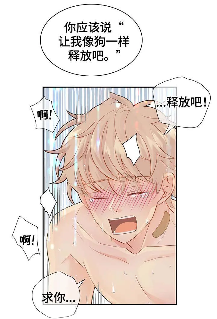 阿尔法监狱漫画漫画,第48章：求你41图