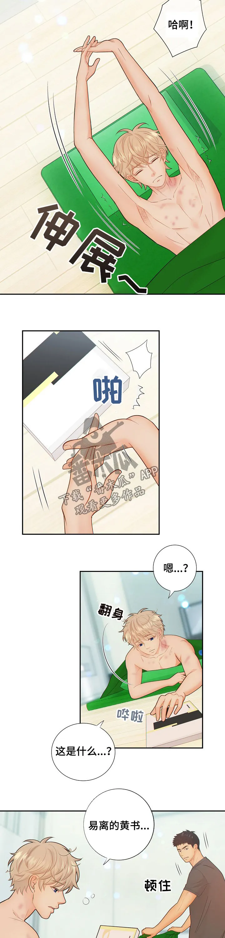 第62章：怀孕1