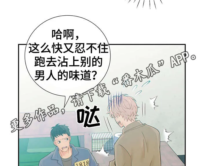 阿尔法监狱漫画漫画,第46章：突击检查32图