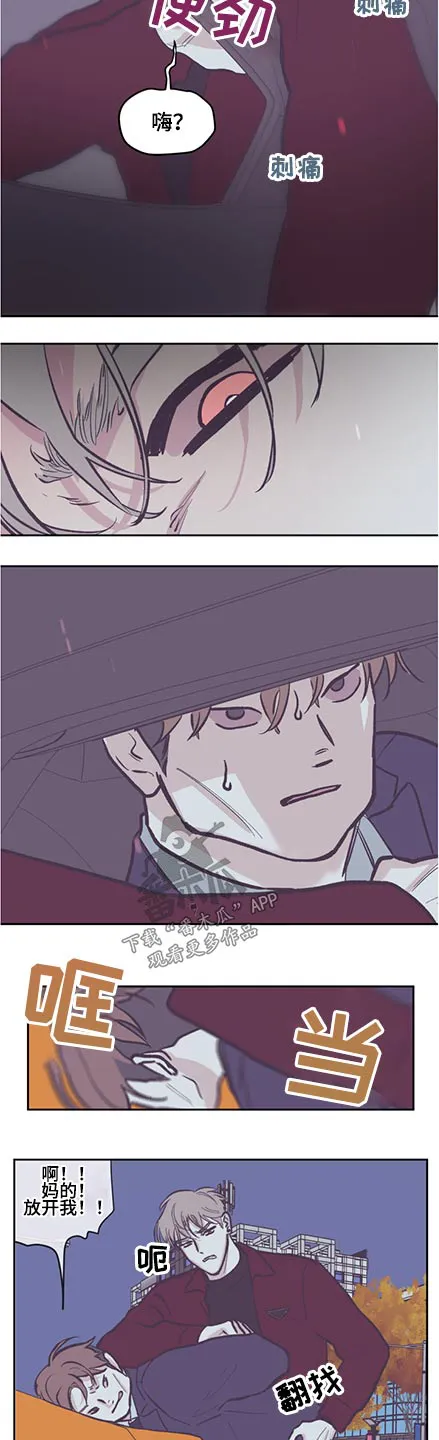 阴谋与争斗漫画漫画,第124章：【第三季】抓住5图