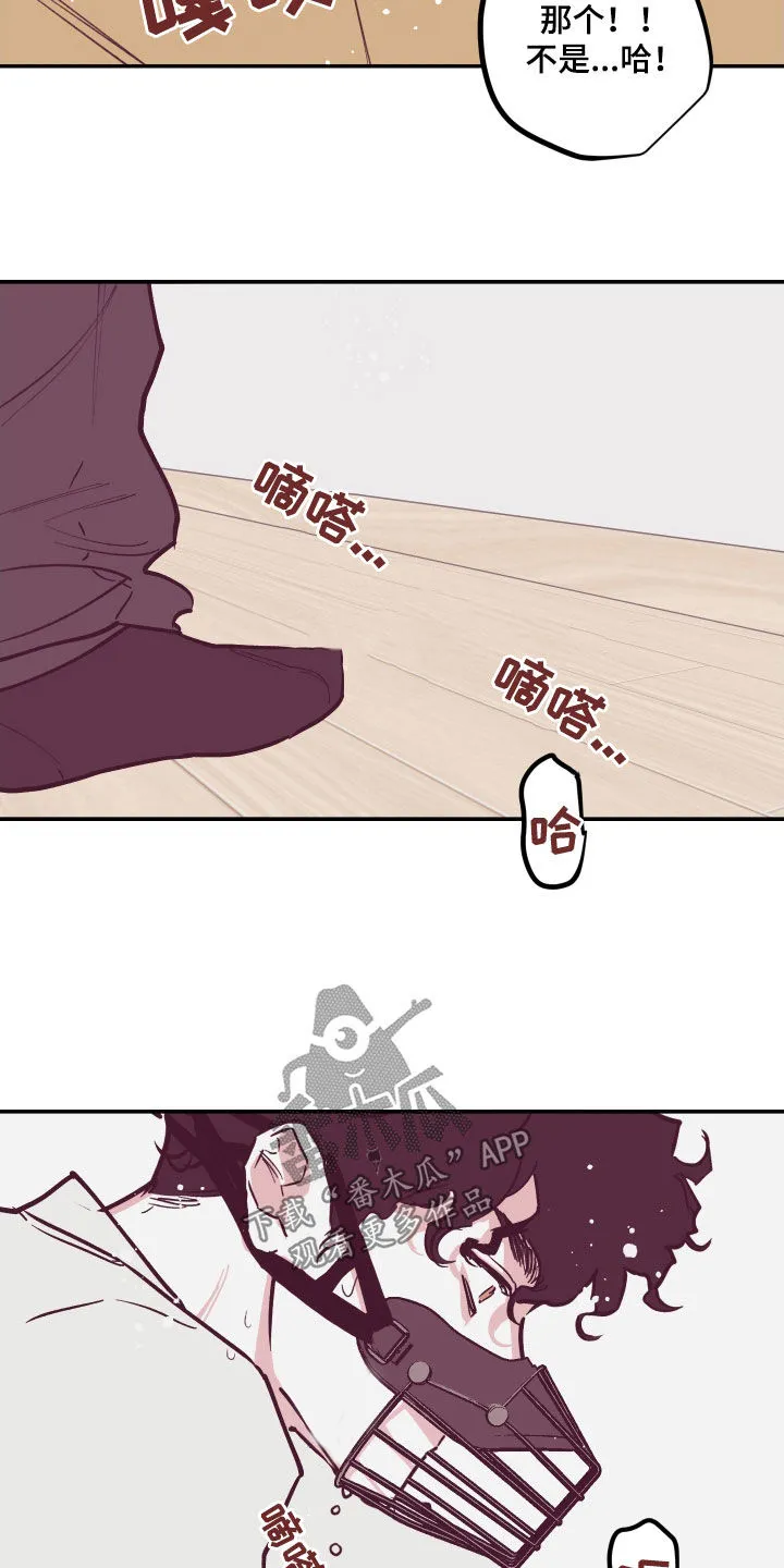 阴谋与争斗漫画漫画,第170章：【番外】我想亲你10图