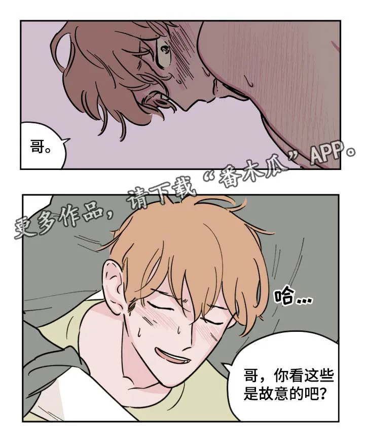阴谋与争斗漫画漫画,第32章：全部都要6图