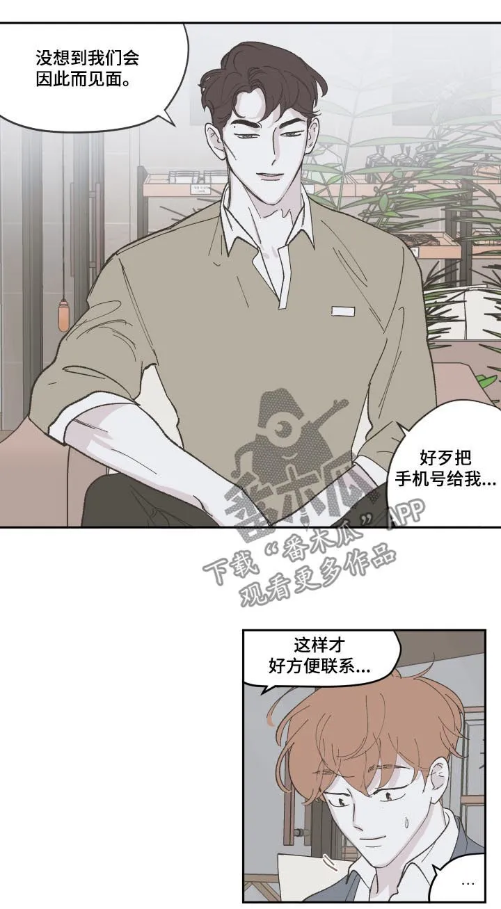 《阴谋与爱情》漫画,第85章：【第三季】离婚了8图