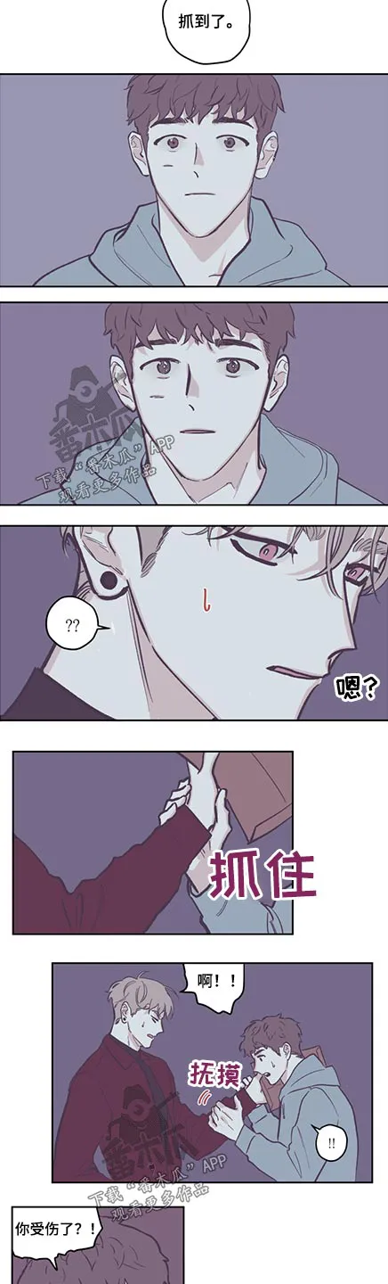《阴谋与爱情》漫画,第125章：【第三季】受伤6图