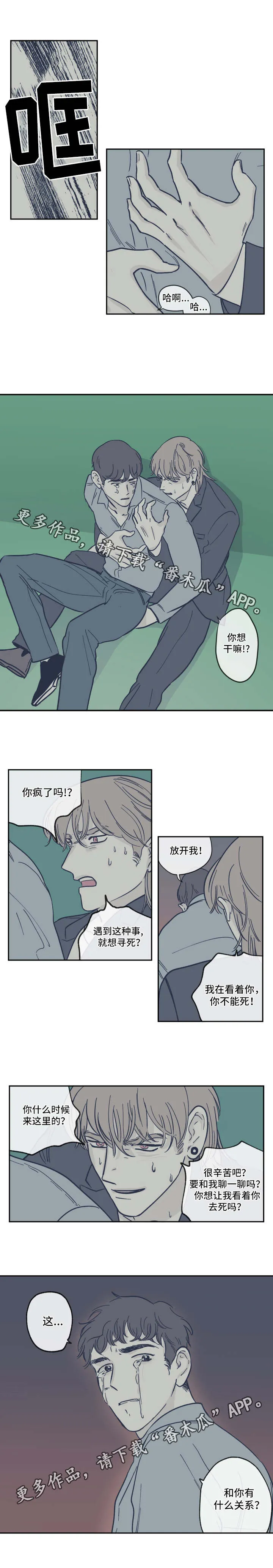 阴谋与争斗漫画漫画,第24章：体谅1图