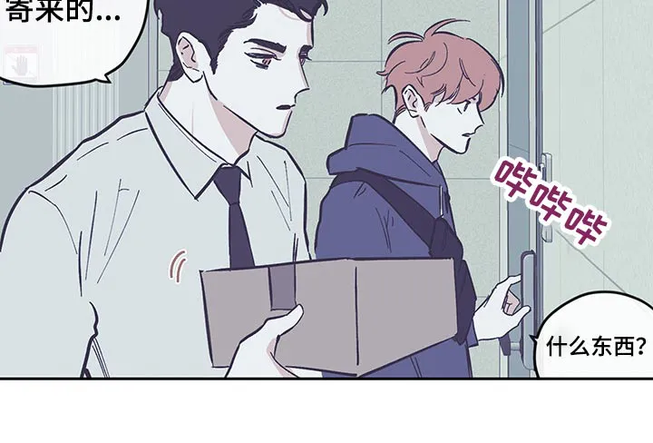 阴谋与争斗漫画漫画,第114章：【第三季】快递3图