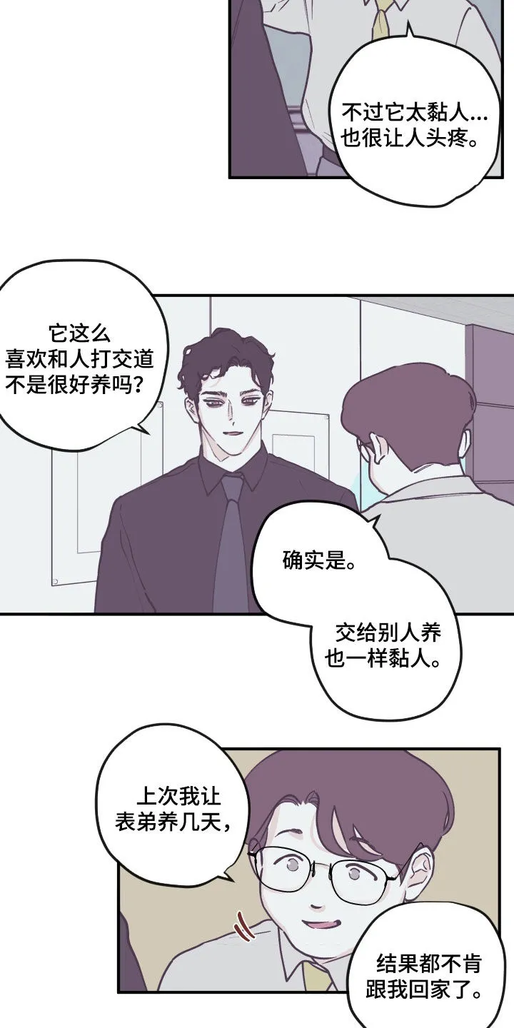 阴谋与争斗漫画漫画,第164章：【番外】理解3图