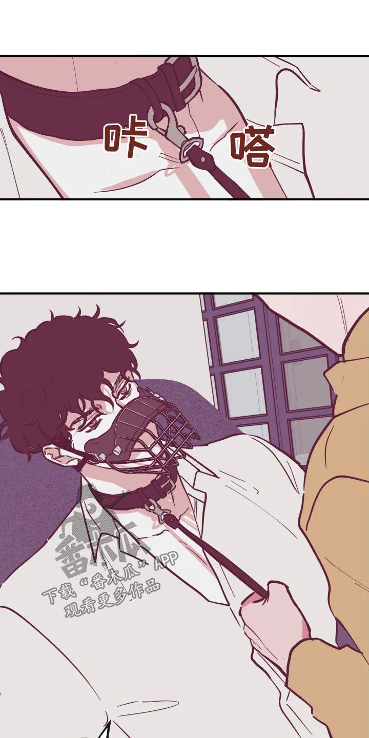 阴谋与争斗漫画漫画,第168章：【番外】今天开始喜欢5图