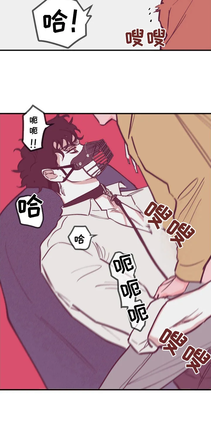 阴谋与争斗漫画漫画,第168章：【番外】今天开始喜欢12图
