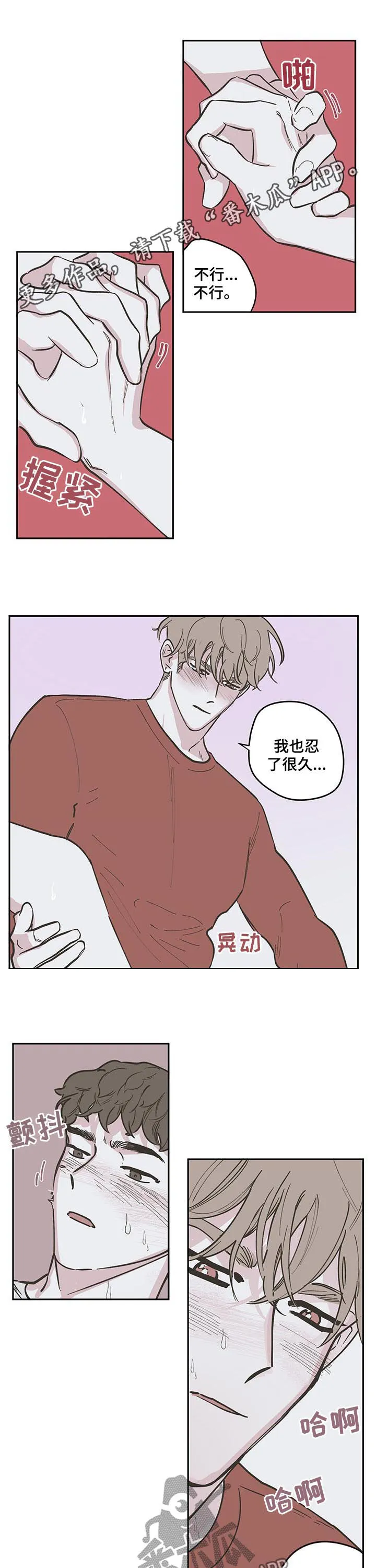 阴谋与争斗漫画漫画,第92章：【第三季】和谐1图