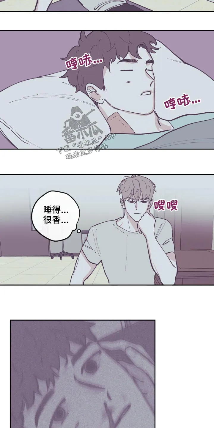 阴谋与正义漫画漫画,第139章：【第三季】整理4图
