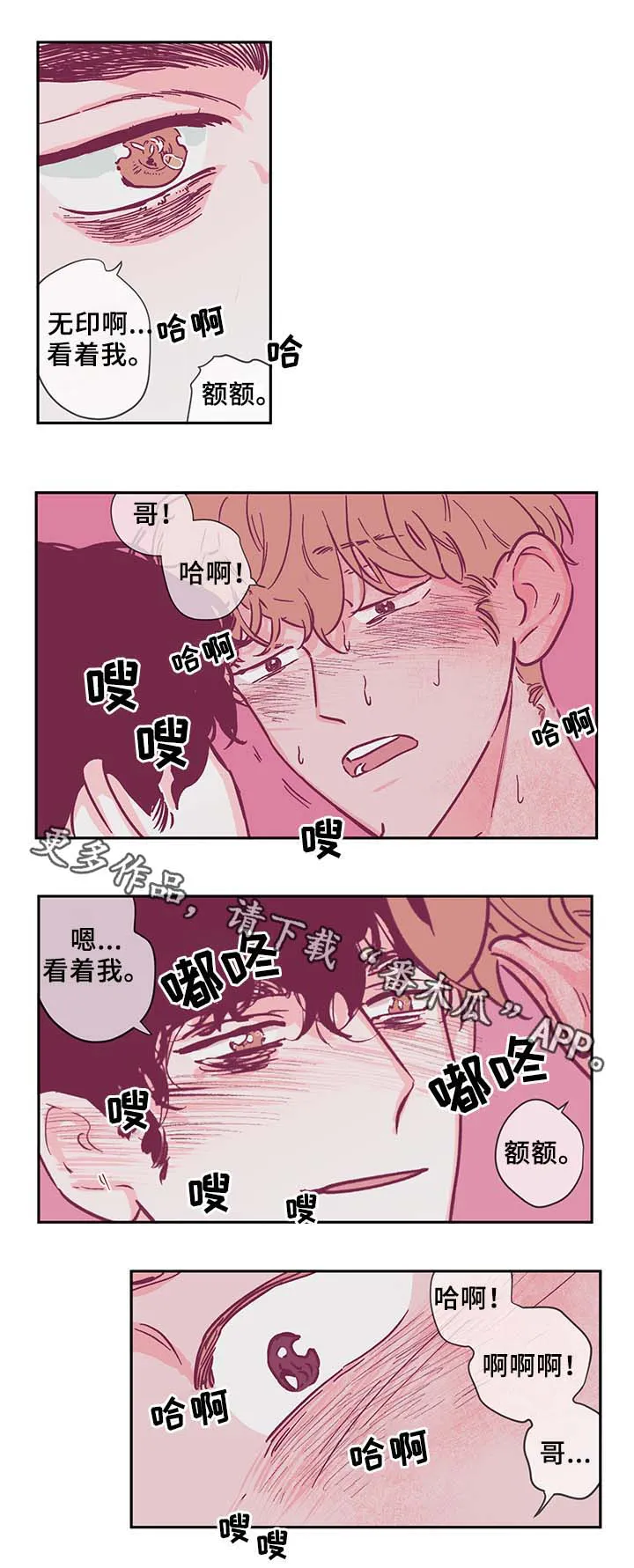 阴谋与争斗漫画漫画,第34章：喜欢吗11图