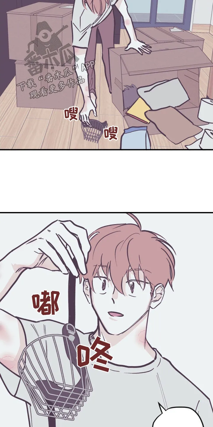 《阴谋与爱情》漫画,第165章：【番外】禁止10图