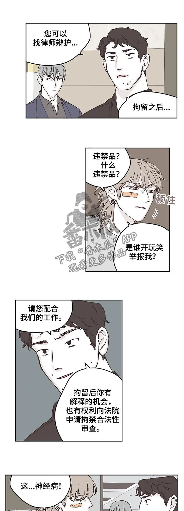 阴谋与争斗漫画漫画,第51章：逮捕2图