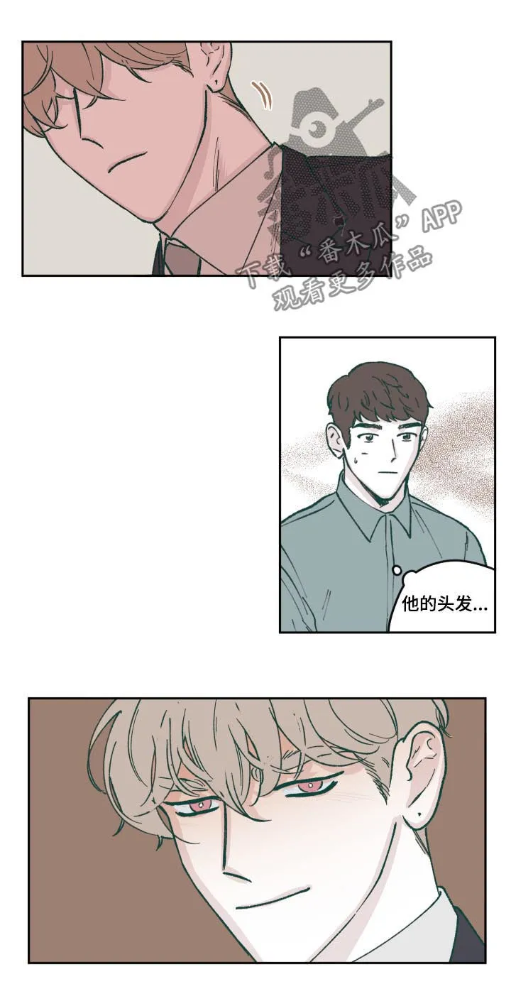 阴谋与争斗漫画漫画,第64章：人设3图