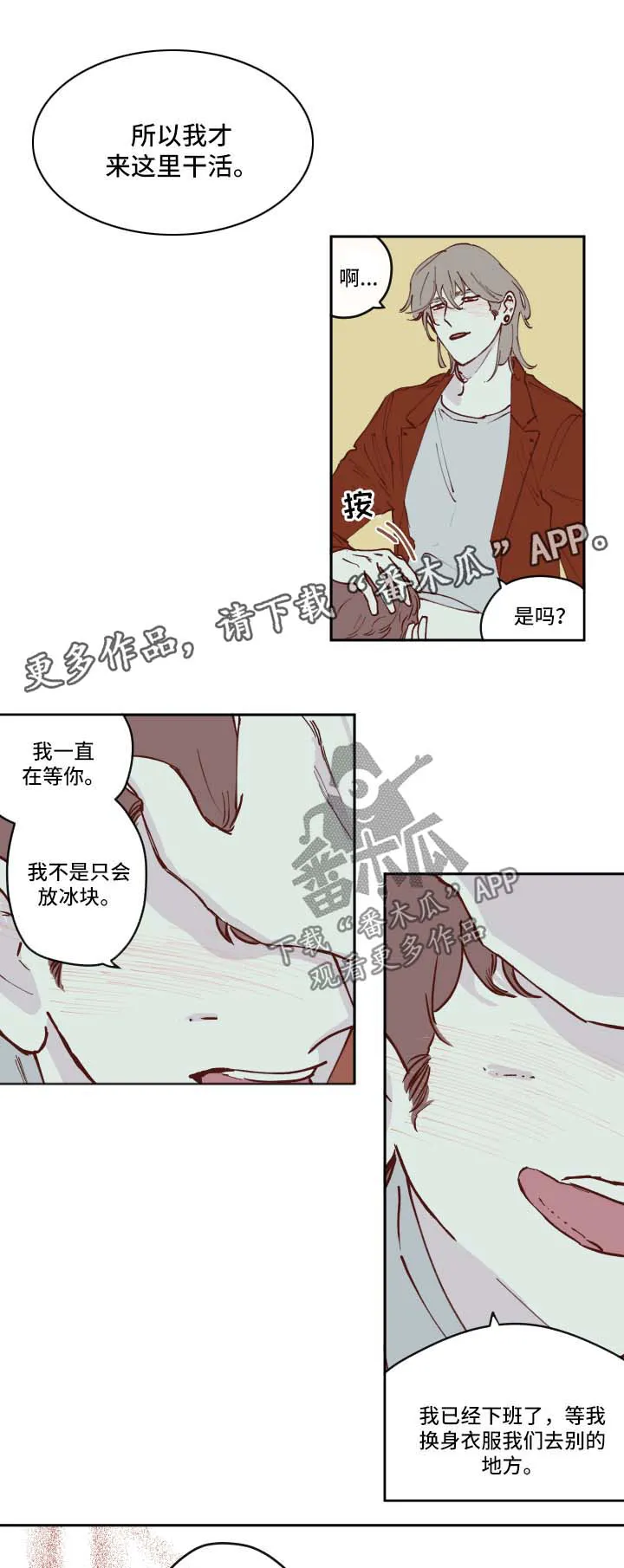 阴谋与争斗漫画漫画,第36章：喝断片10图